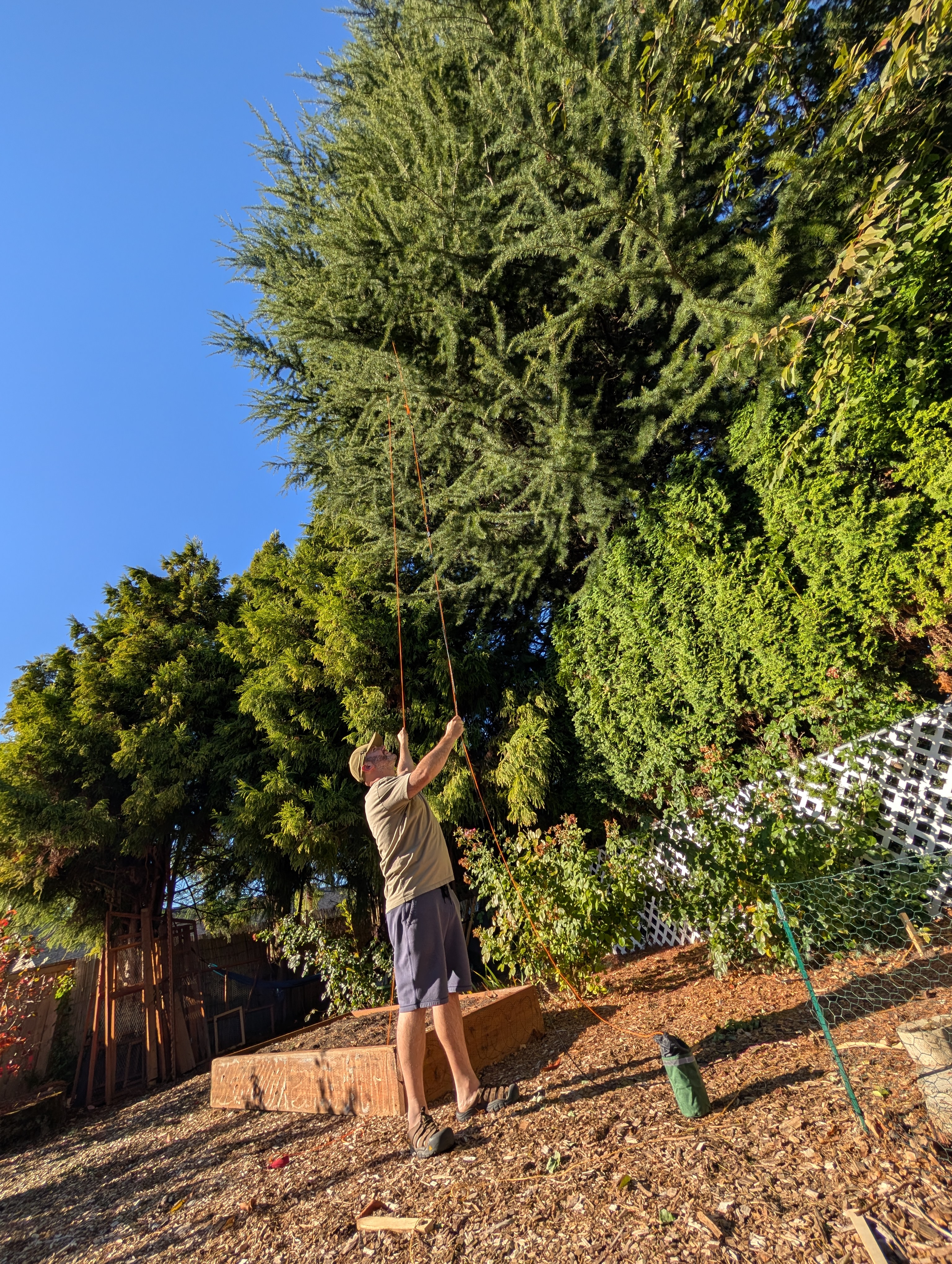 Jesse from RealRadioReviews throwing an arborist line up into a tree in his backyard.